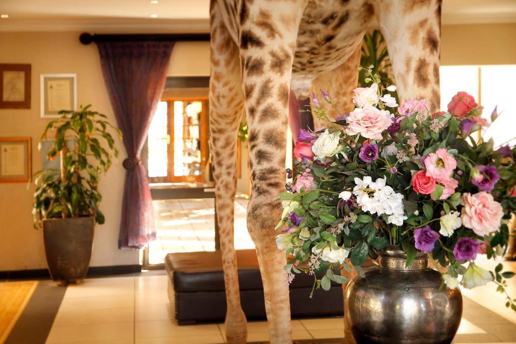 Bains Lodge Bloemfontein Ngoại thất bức ảnh